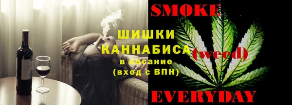 spice Аркадак