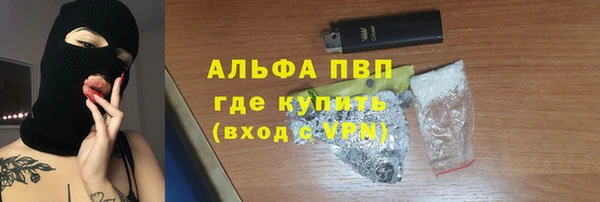 spice Аркадак