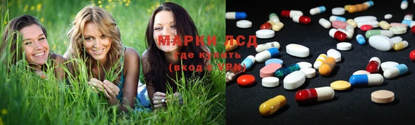 spice Аркадак