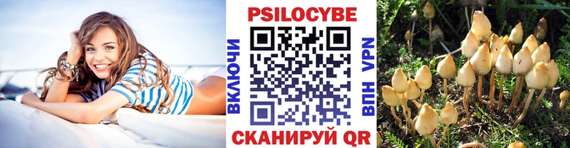 Галлюциногенные грибы прущие грибы  Покровск 