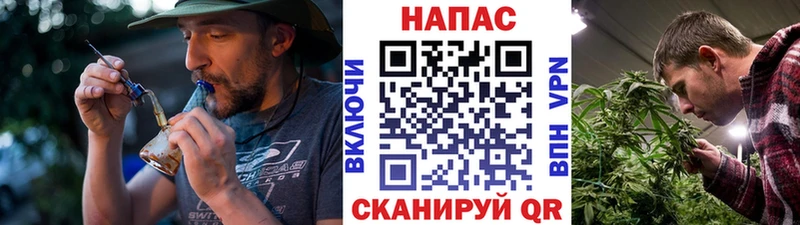 Бошки Шишки марихуана  Покровск 